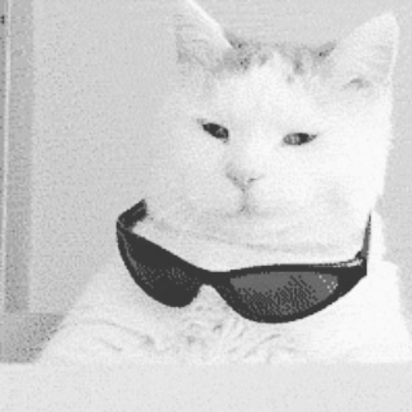 Meet your Posher, Michaela - Picture 1 of 1